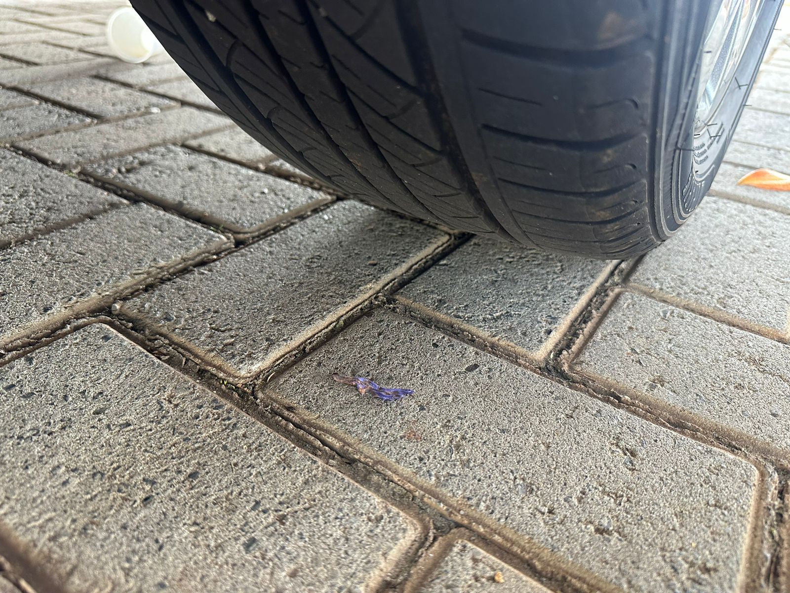 Foto do Carro